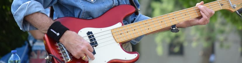 Basgitaar
